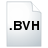 File-extension-BVH.png