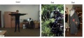 Thumbnail for version as of 13:54, 25 September 2010