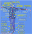Thumbnail for version as of 18:32, 12 January 2011