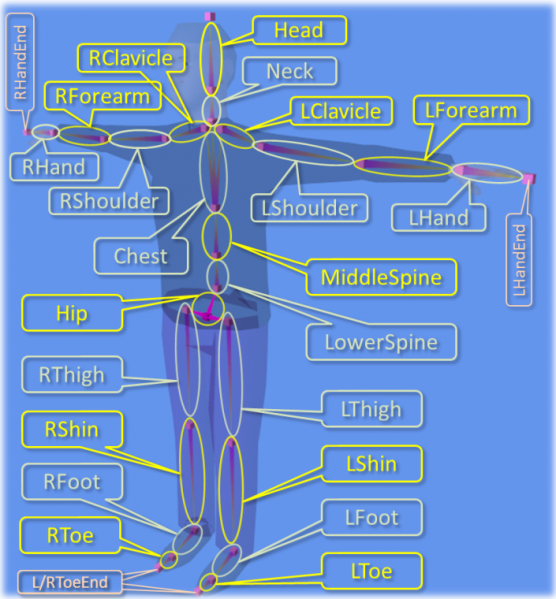 File:Default rig with names.png