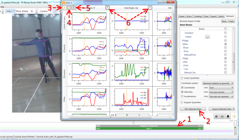 File:IPi-Biomech-2-4.png